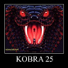 kobra25