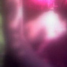 anulka081