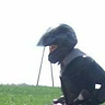 krystian2306