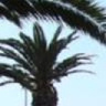 milusiaizunia