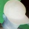 adimoaz
