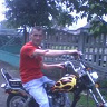 77Tulipan