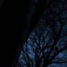 odlotowa666