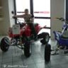 Allan2007