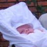 majzel12