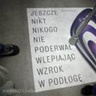 zioom1221
