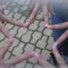 coolzynki