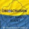 tenznaktozna