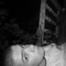 Giecus7