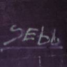 sebor001