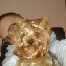 PaTeR
