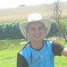 Marchewka453045