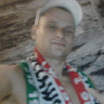 stawik