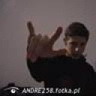 ANDRE258