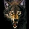 darkwolf007