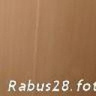 Rabus28