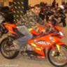 daro17666
