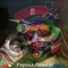 Pepaaa