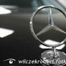 wilczekrobert