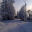 TomekM21