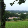 siara1615