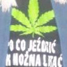 WasiaPL