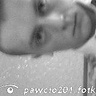 pawcio201