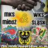 klauduska24865