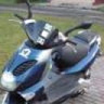 Slowik0493