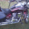 kacus1