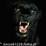 keszek1228