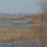 Zielinek34