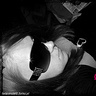 helenka0602