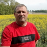 mirko75