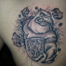 luk199311