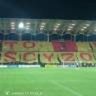 pawbor19