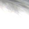 avadakedavra777