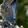 papierowyksiezyc15
