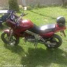 koteczko115
