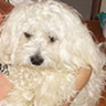 Anna20062