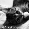 xxkocurek