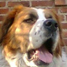 krystian010203