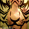 RudyTiger1990