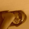 xXdZiUnIaXx12