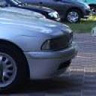 lukosek2008