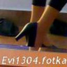 Evi1304
