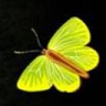 madzia12345678