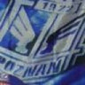 Chicken528