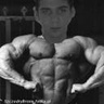 SzczodryBronx