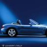 pawelek8811